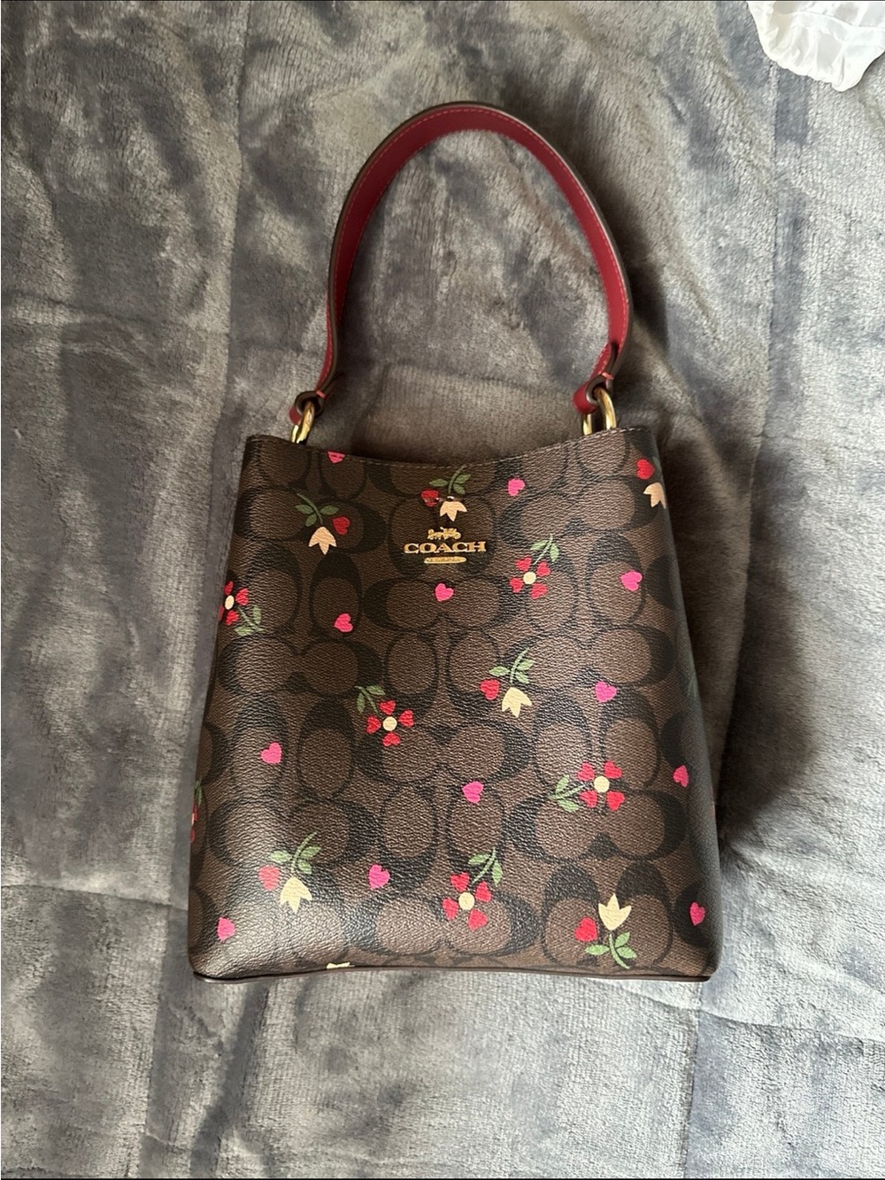 Coach Smalltown bucket bag Signature Floral Small Shoulder Bag